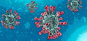 Infezione da Covid, ricerca internazionale spiega cosa avviene nelle nostre cellule