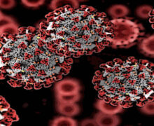 Covid, studio Usa: nuovo farmaco ‘esca’ potrebbe bloccare ogni variante del virus