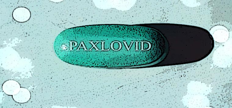 Paxlovid in farmacia, Cossolo: “Esperienza di cui fare tesoro”. Ma c’è chi storce il naso