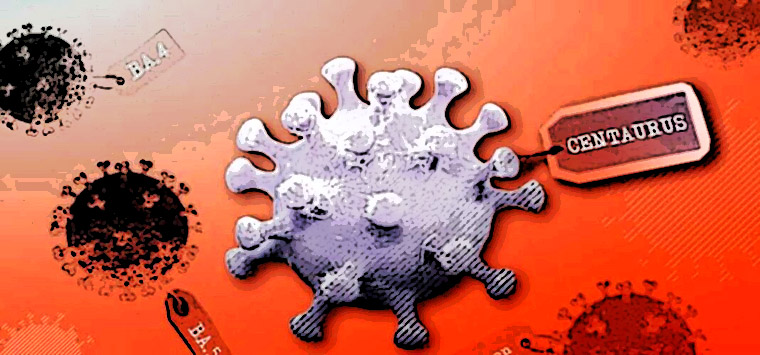 Covid, la sottovariante Omicron BA.2.75 ‘Centaurus’ preoccupa i virologi inglesi