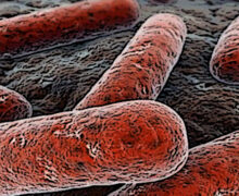Micobatteri resistenti ai farmaci, preoccupazione anche per la tubercolosi