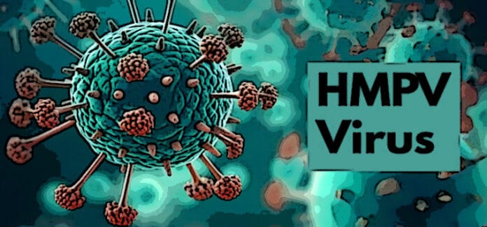 hmpv virus