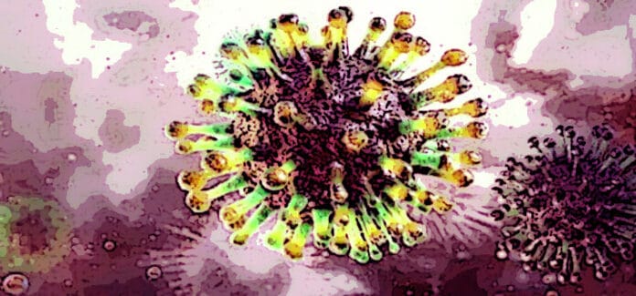 virus