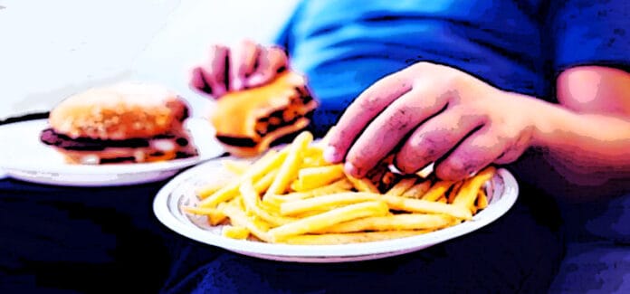 obesita bambino hamburger patatine