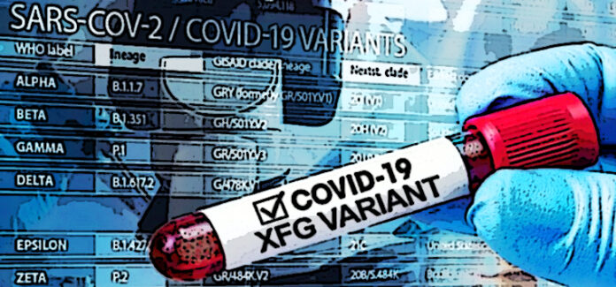 COVID XFG variant