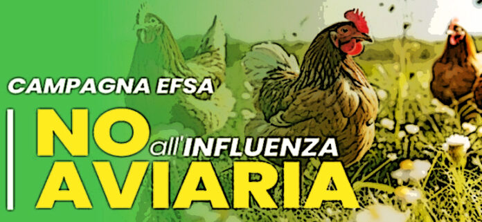 NOAviaria Efsa